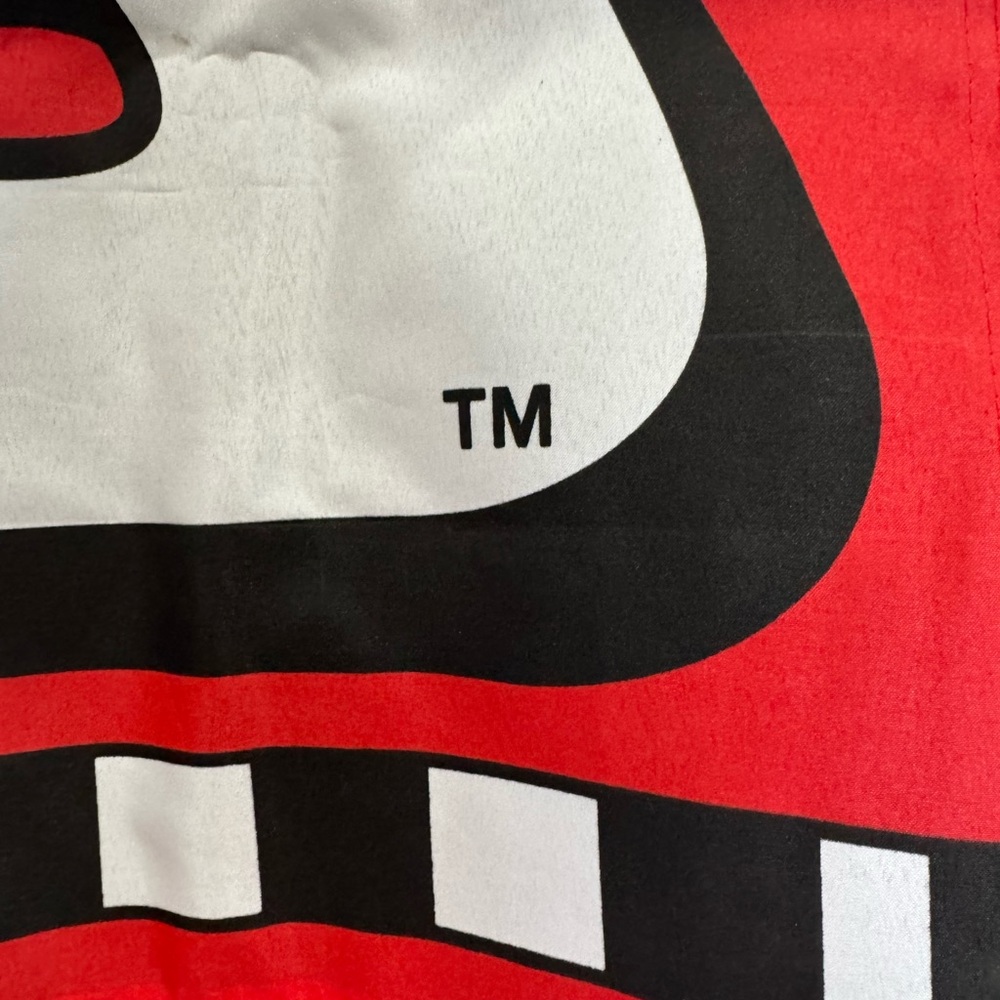 Dale Earnhardt Jr. Nascar 2000 Red Racing Banner - Picture 4 of 14